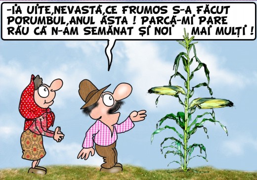 Romanul face haz de necaz. Cum adica?! Adica dovedeste ca se trage nu numai din romani, dar si din daci. Nu stim noi de la Herodot ca dacii se prapadeau de ras inaintea mortii? Asa am devenit noi un popor vesel, care se distreaza de cate ori vine vreo nenorocire peste el.