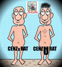 Criterii de cenzura