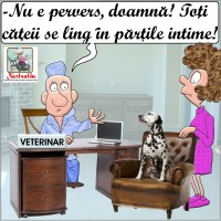 Cu cainele la veterinar