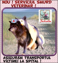 Servicii medicale pentru animale