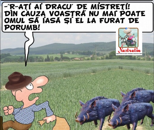 Mistretii sunt de vina