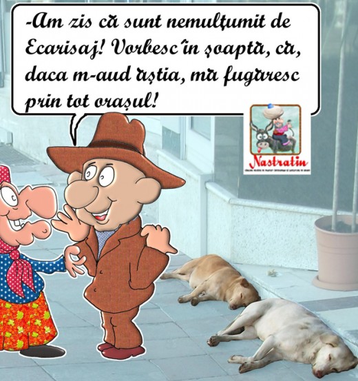 Nemultumit de ecarisaj