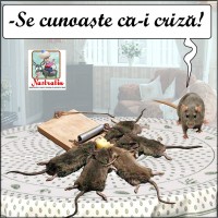 Criza pentru toata lumea…