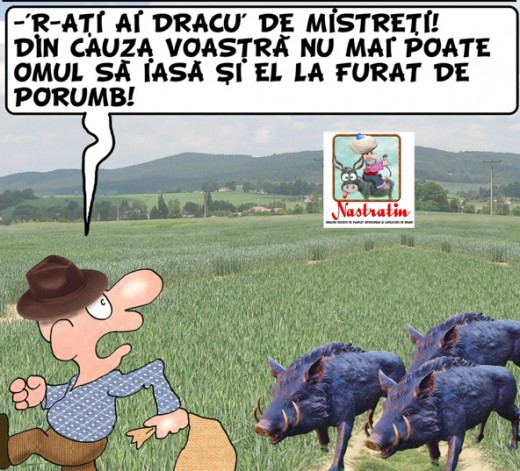 Mistretii sunt de vina