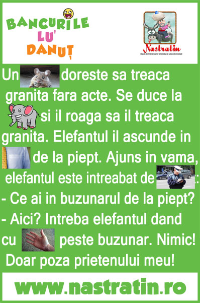 Elefantul il ajuta pe soricel sa treaca granita