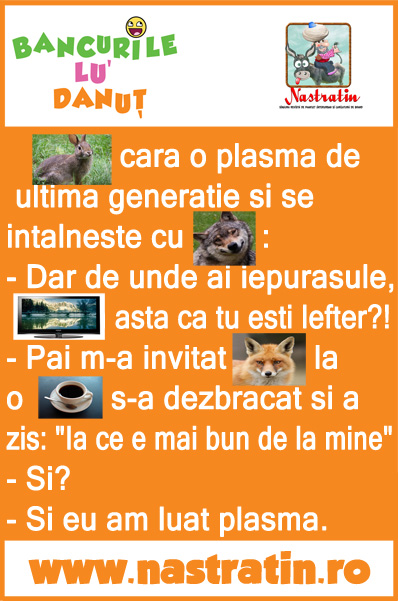 Iepurasul si-a luat plasma