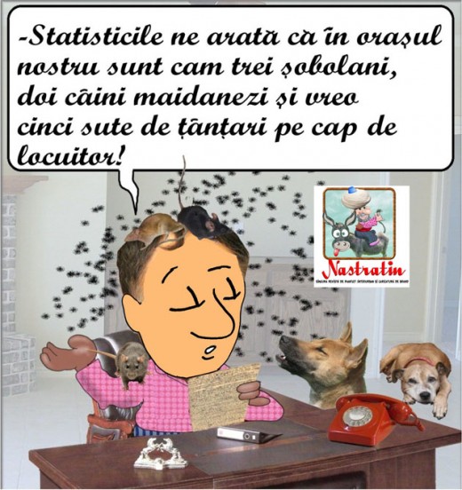 Stam bine in statistici