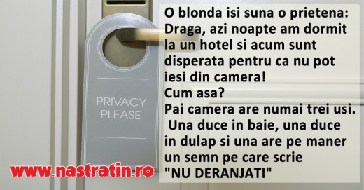 Blonda la hotel