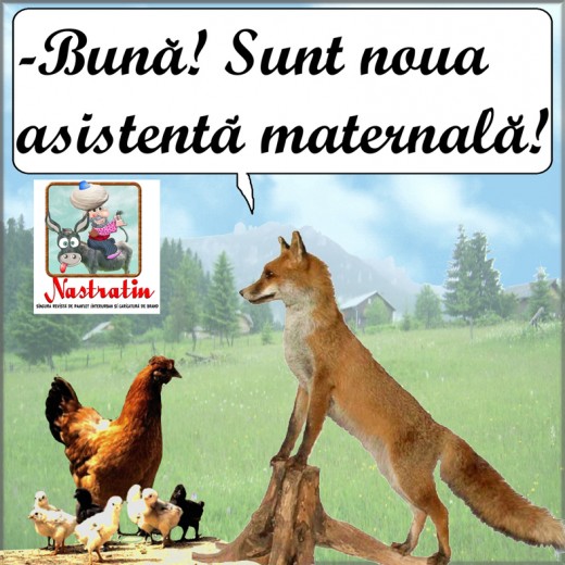 Noua asistenta maternala