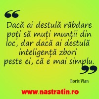 Rabdare sau inteligenta