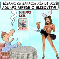 Nimic nu-i cu slibovita