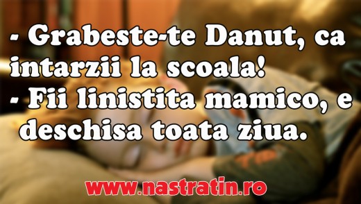 E deschisa toata ziua