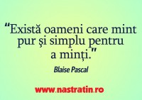 Mint pentru a minti