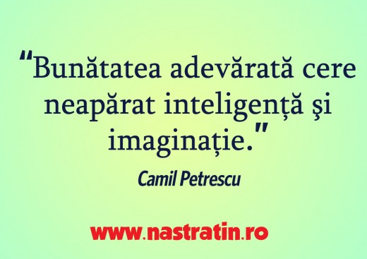 Inteligenta si imaginatie