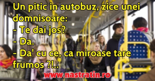 Ce simte un pitic in autobuz