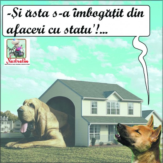 Si cainii fac afaceri cu statul