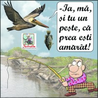 Un peste pentru amarati