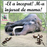 El a inceput