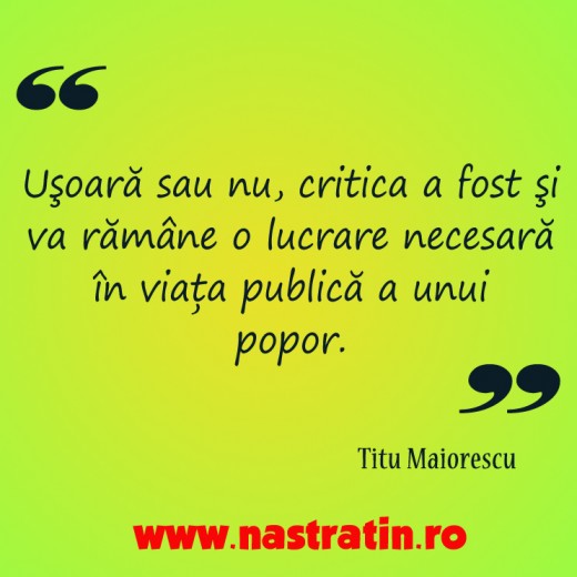 Critica in viata publica