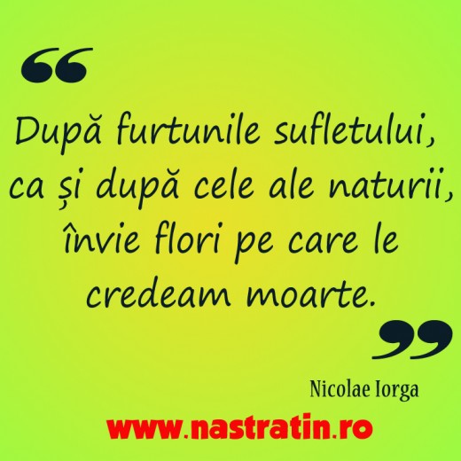 Furtunile din viata noastra