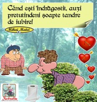 Soapte tandre de iubire