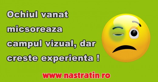 Experienta vasta