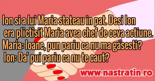 Ion si Maria fac pariu