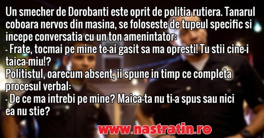 Politisti incoruptibili