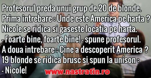 Cine a descoperit cu adevarat America?