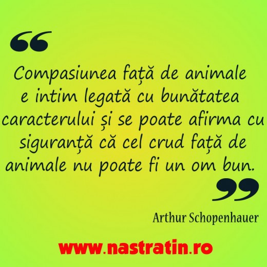 Compasiunea fata de animale