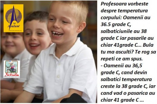 CE A INTELES BULA