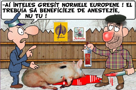 TAIEREA PORCULUI SI NORMELE EUROPENE