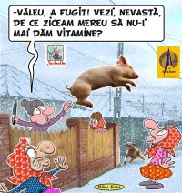 PORCUL SI VITAMINELE