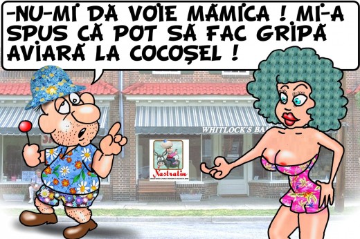 NU-MI DA VOIE MAMICA