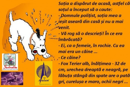 SOT ATENT LA DETALII