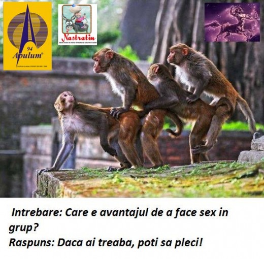 SEX IN GRUP