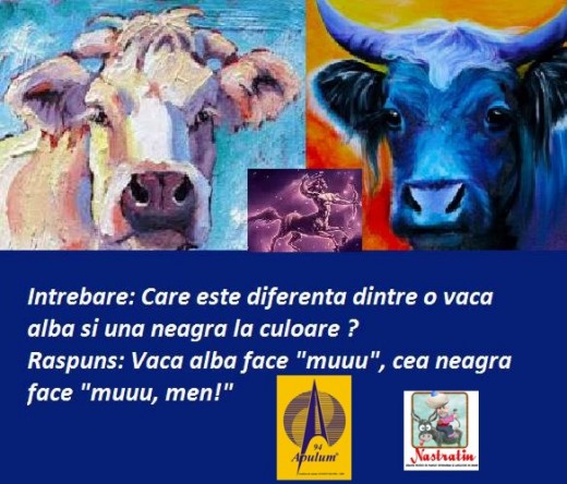 VACA NEAGRA