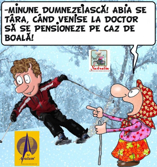 PENSIONAT PE CAZ DE BOALA