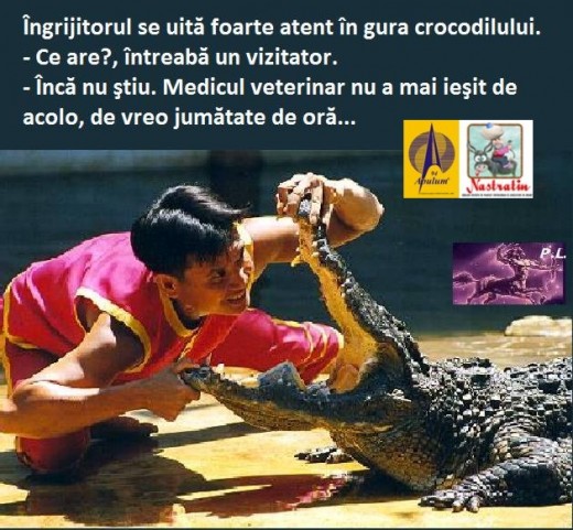 CROCODILUL BOLNAV