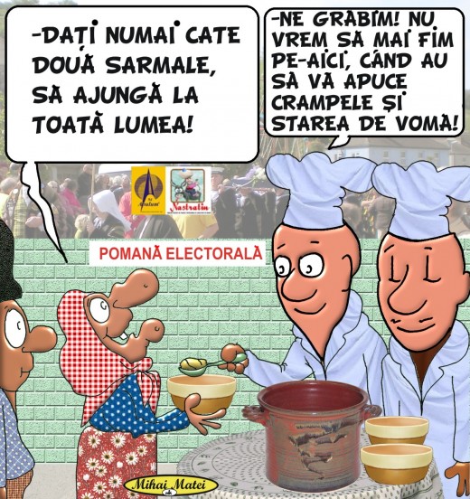 POMANA ELECTORALA