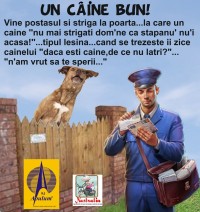 ATENTIE, CAINE BUN!