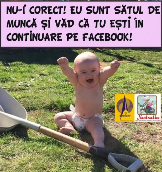 NU E CORECT!