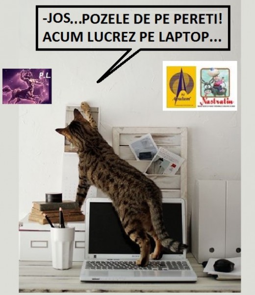 CAND LUCREZI PE LAPTOP