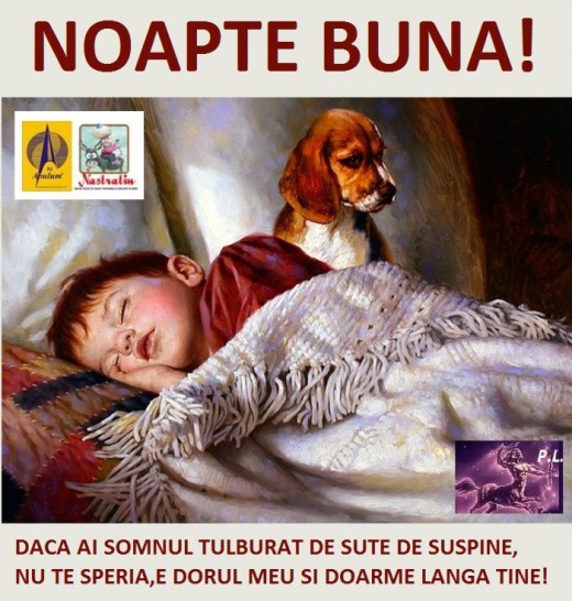 NOAPTE BUNA!