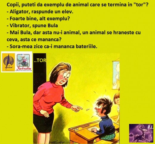 ANIMAL FEROCE