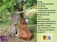 UN CAL DEOSEBIT!