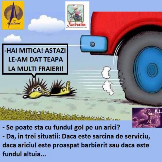 TEORIA ARICIULUI
