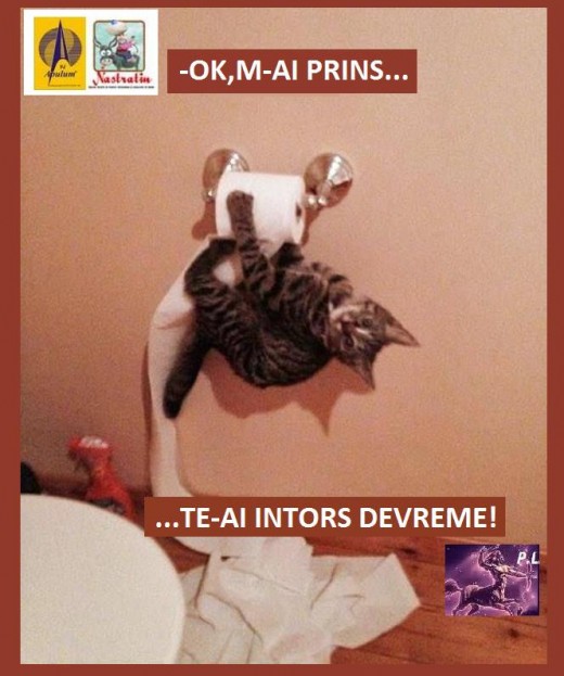 AH! M-AI PRINS!