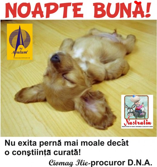 NOAPTE BUNA!