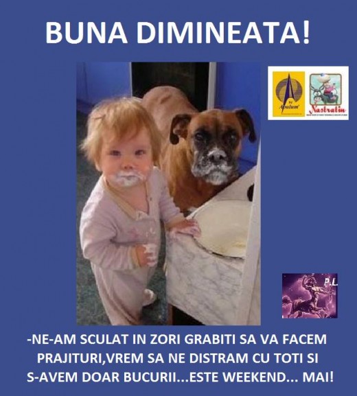 BUNA DIMINEATA